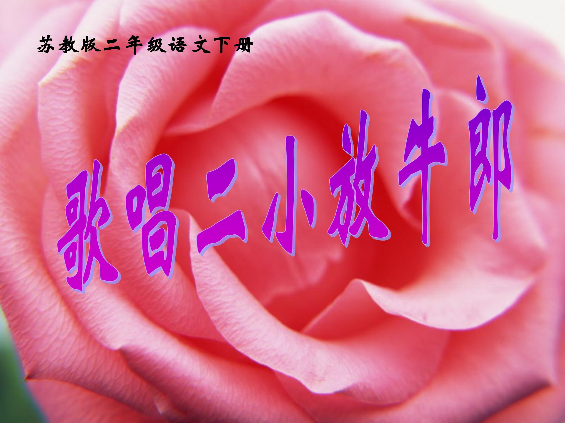 《歌唱二小放牛郎》PPT课件2
