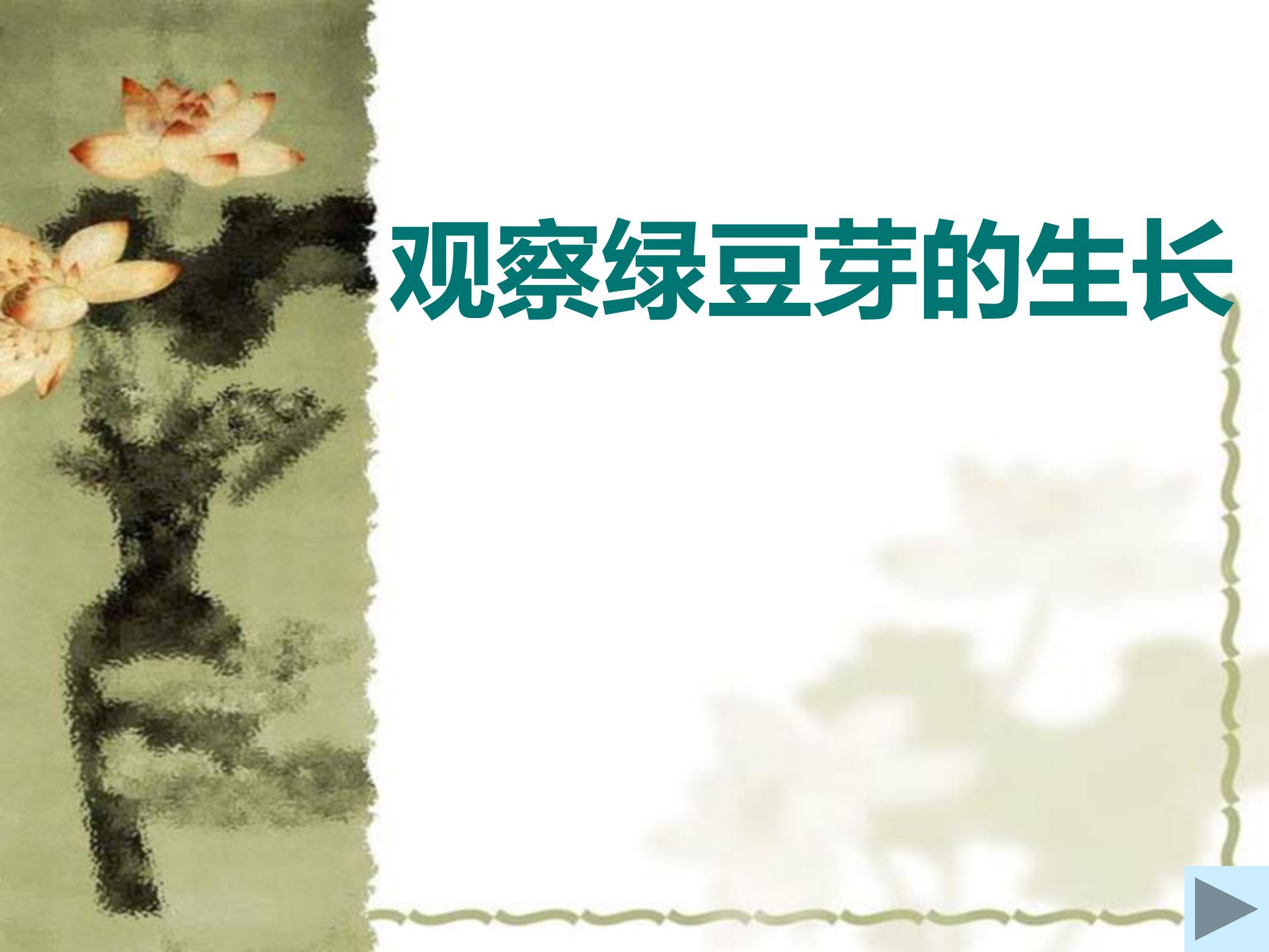 《观察绿豆芽的生长》生物与环境PPT课件3ppt课件