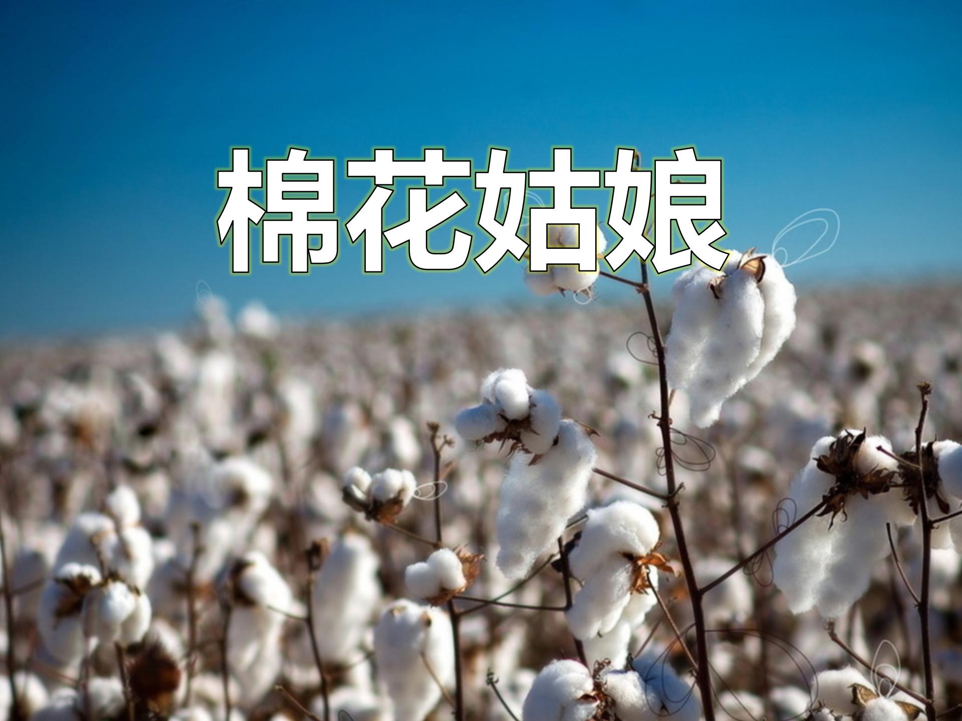 《棉花姑娘》PPT课件5ppt课件