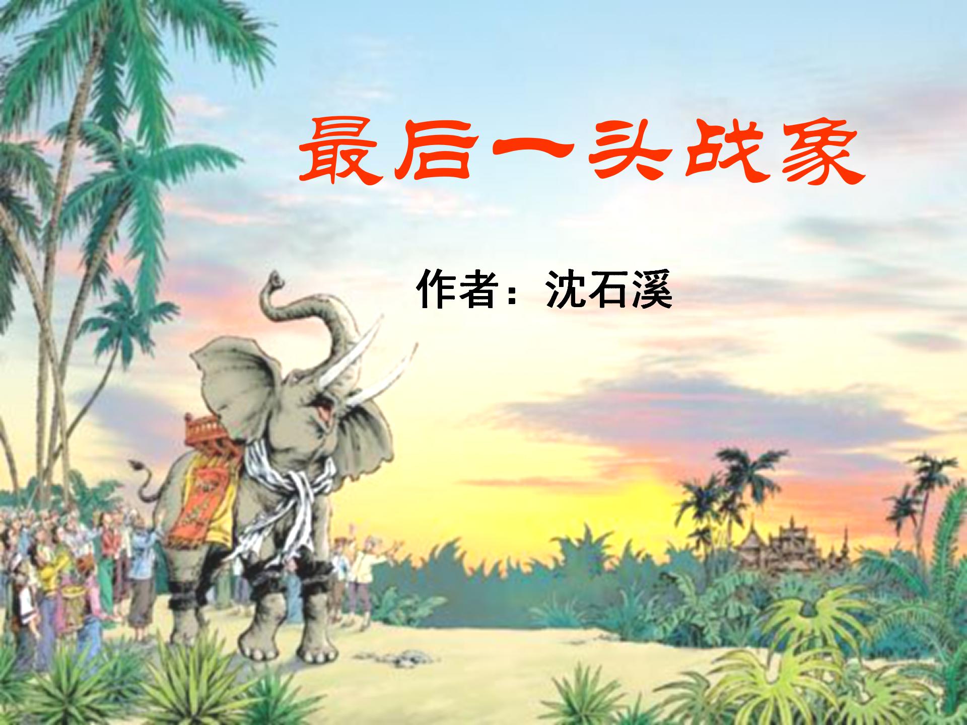 《最后一头战象》PPT课件6