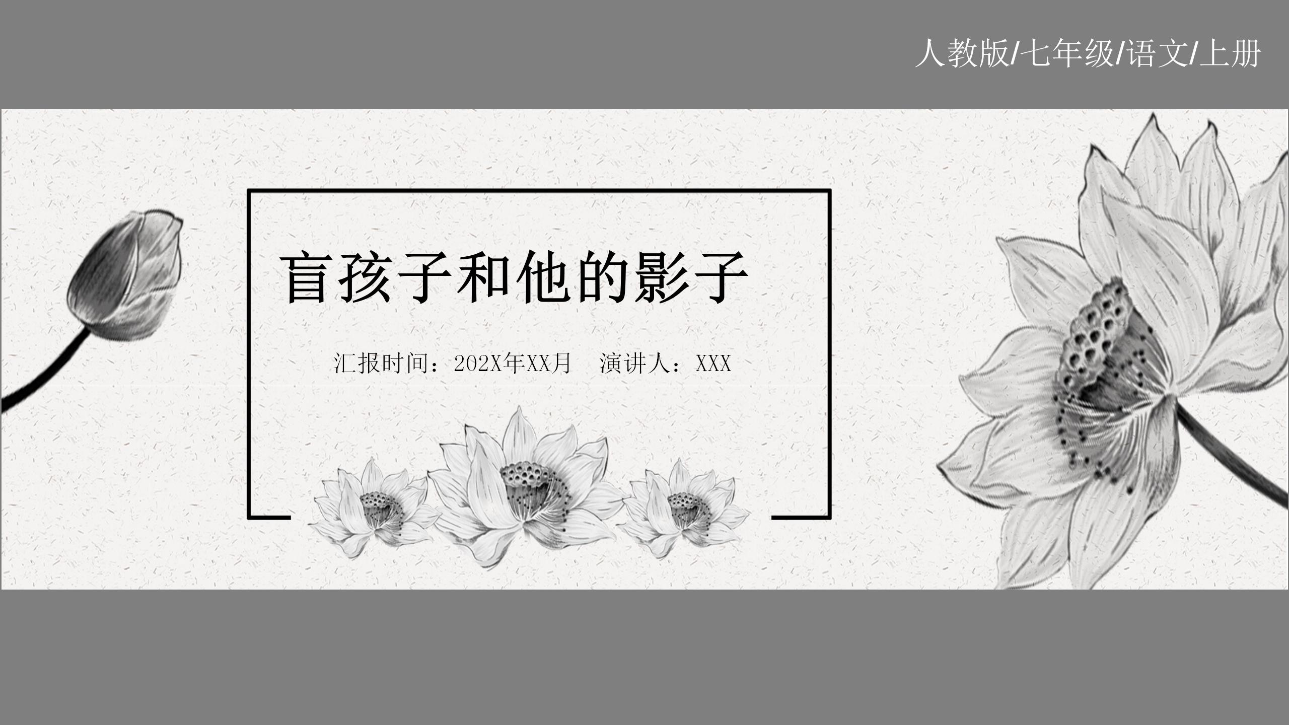 《盲孩子和他的影子》课文pptppt课件