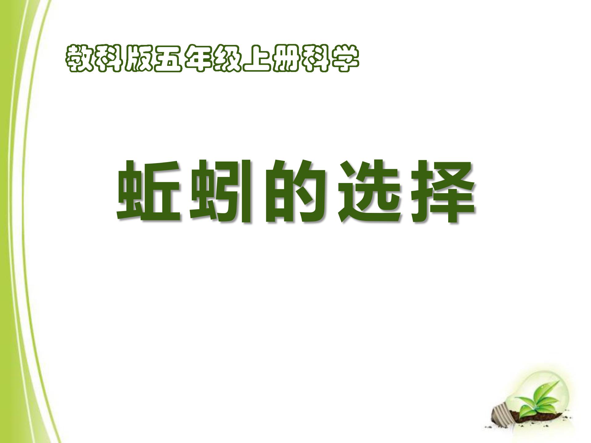 《蚯蚓的选择》生物与环境PPT课件4