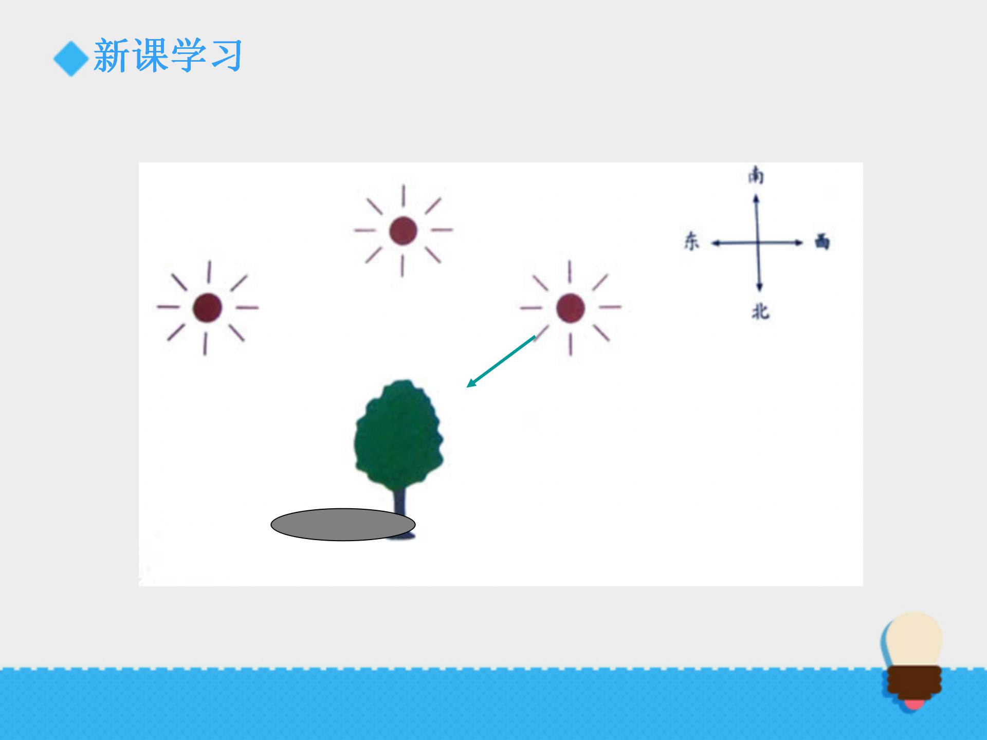 阳光下的影子ppt课件PPT课件下载