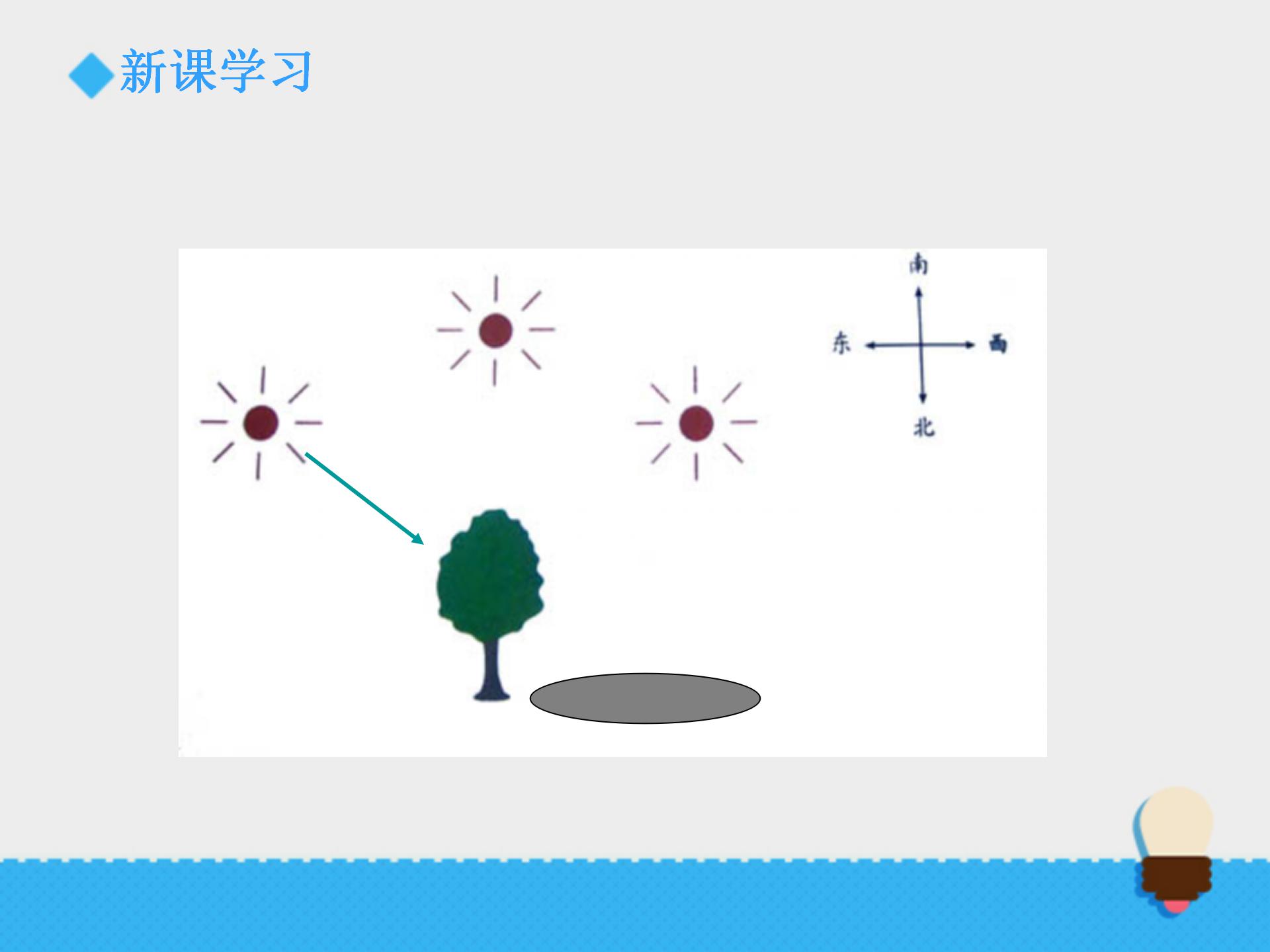 阳光下的影子ppt课件PPT课件下载