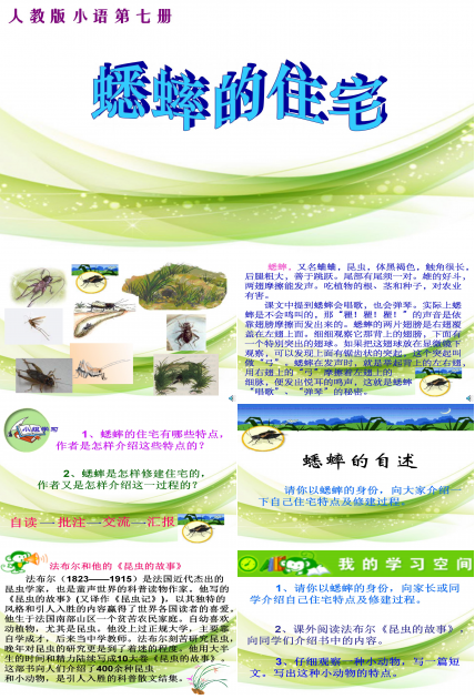 《蟋蟀的住宅》ppt教学课件下载4