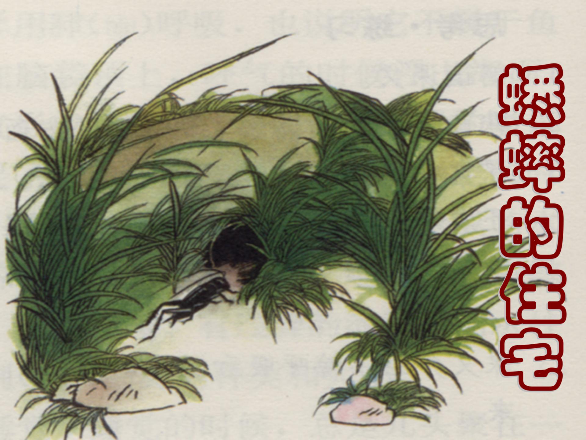 《蟋蟀的住宅》ppt教学课件下载5
