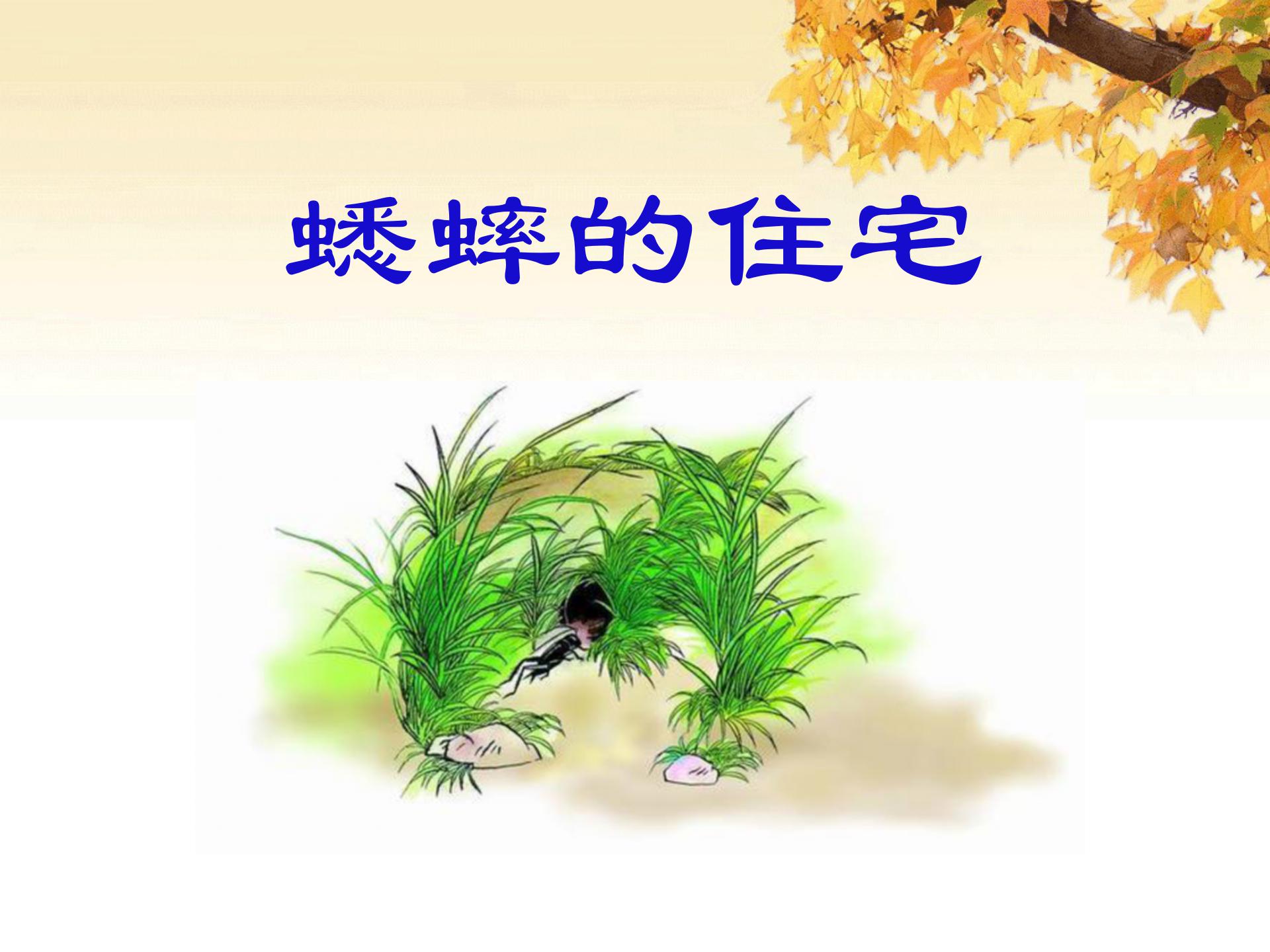 《蟋蟀的住宅》PPT课件7PPT课件下载