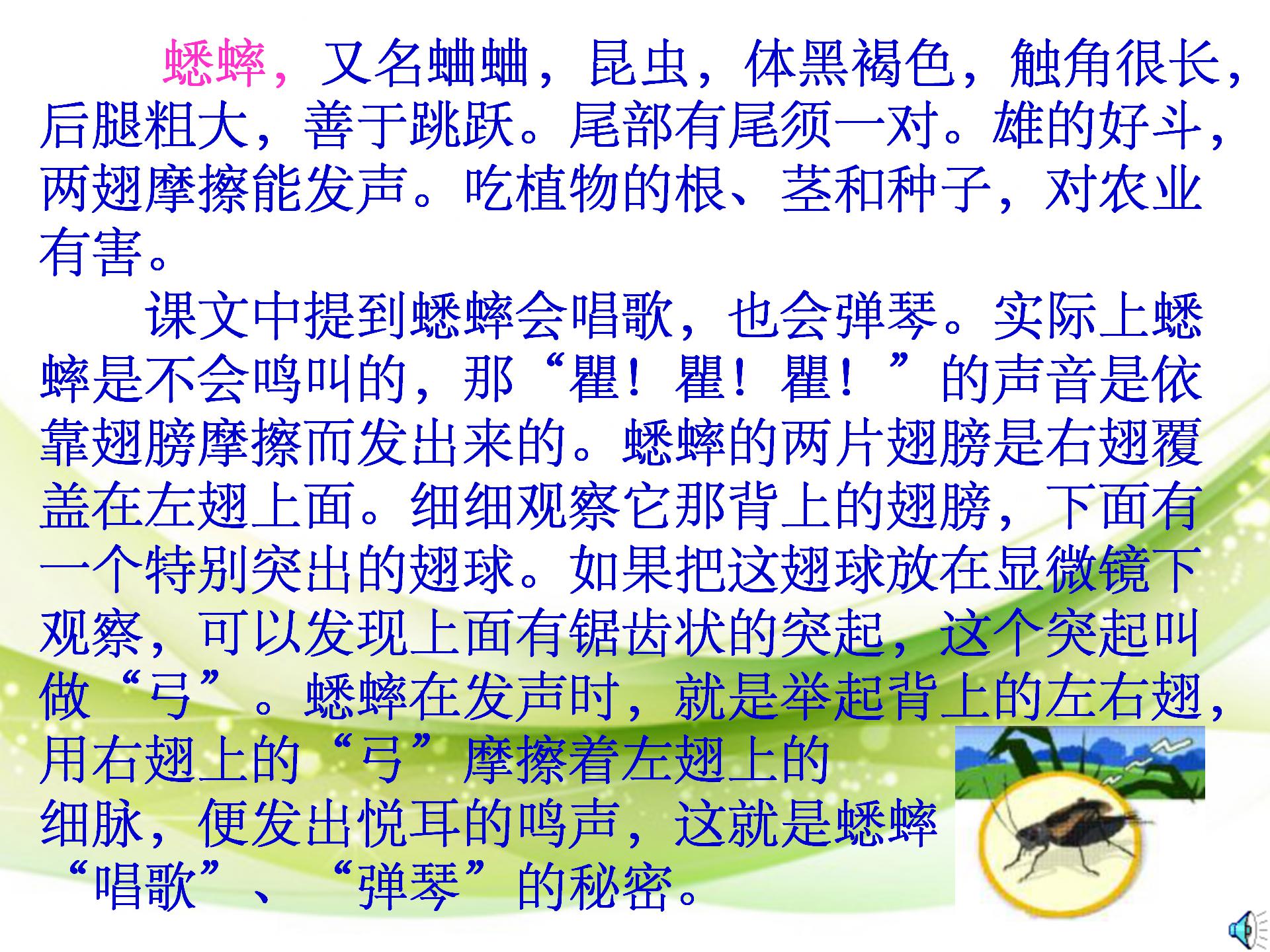 《蟋蟀的住宅》ppt教学课件下载4