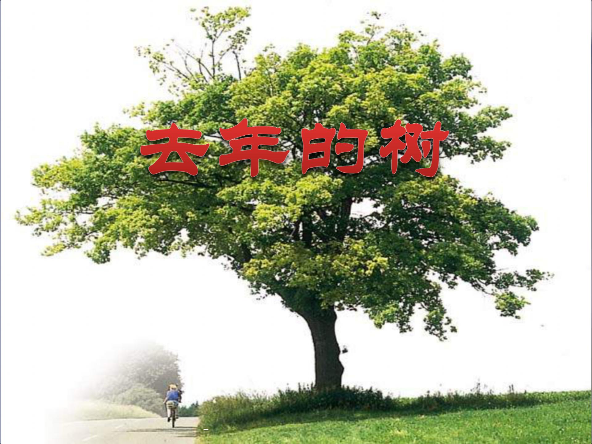 《去年的树》PPT教学课件下载6
