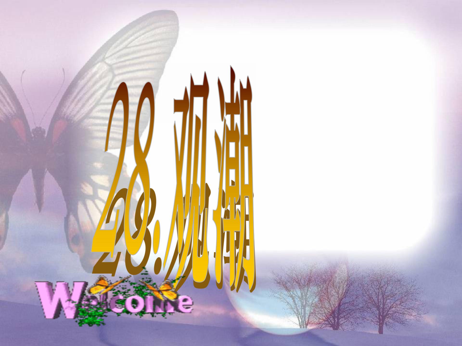 《观潮》PPT课件4ppt课件