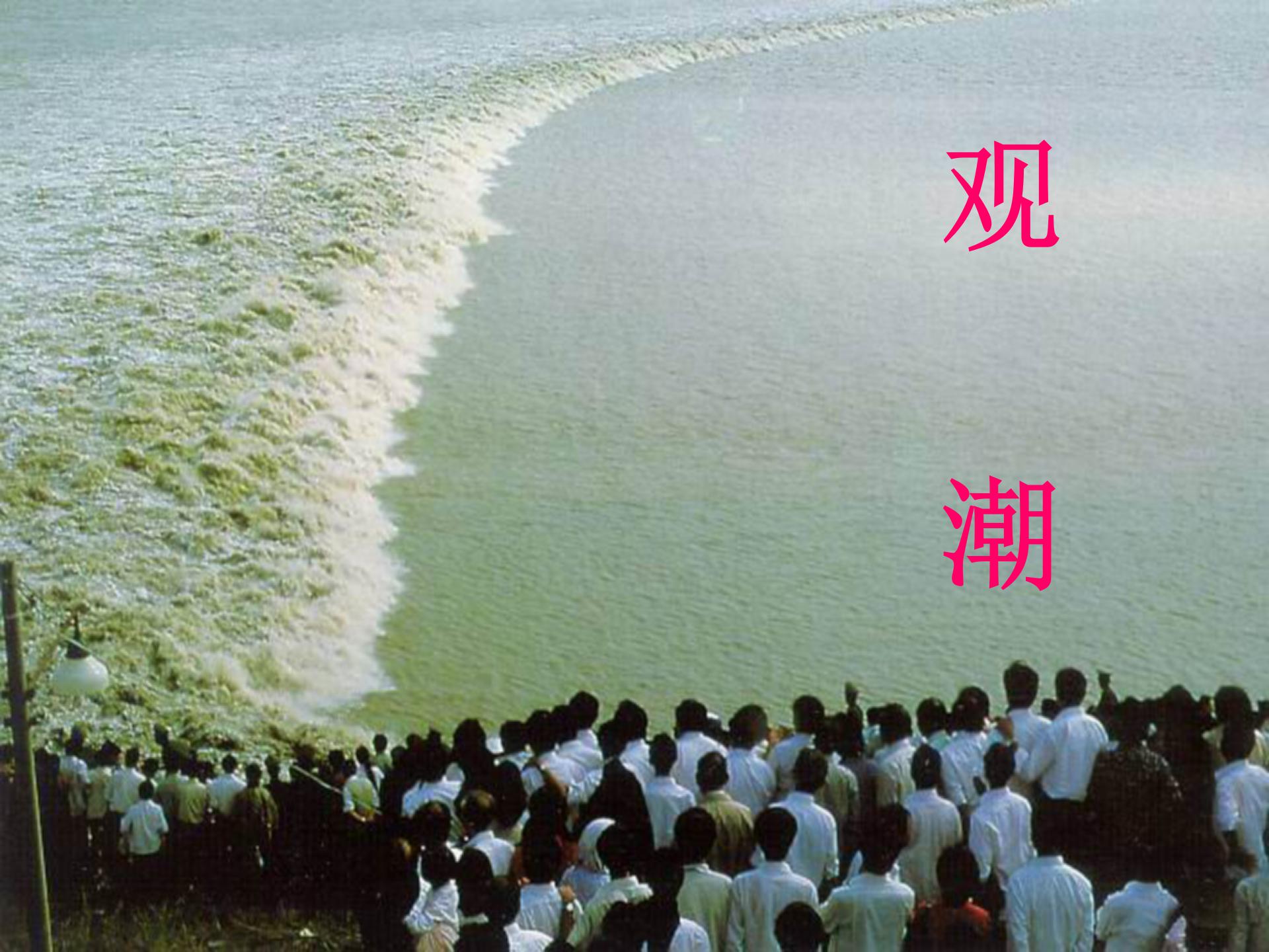 《观潮》PPT课件2ppt课件