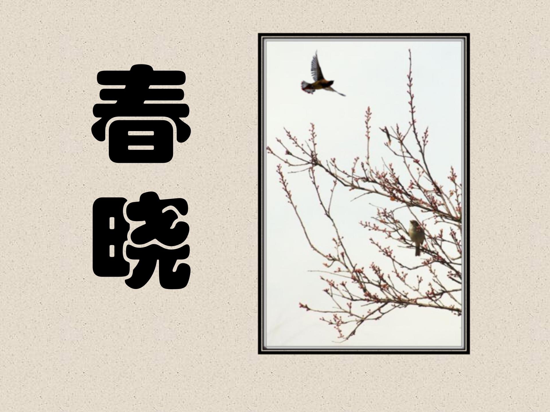 《春晓》PPT课件5ppt课件