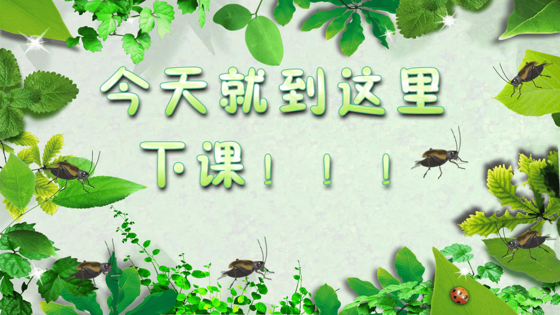 《蟋蟀的住宅》PPT教学课件