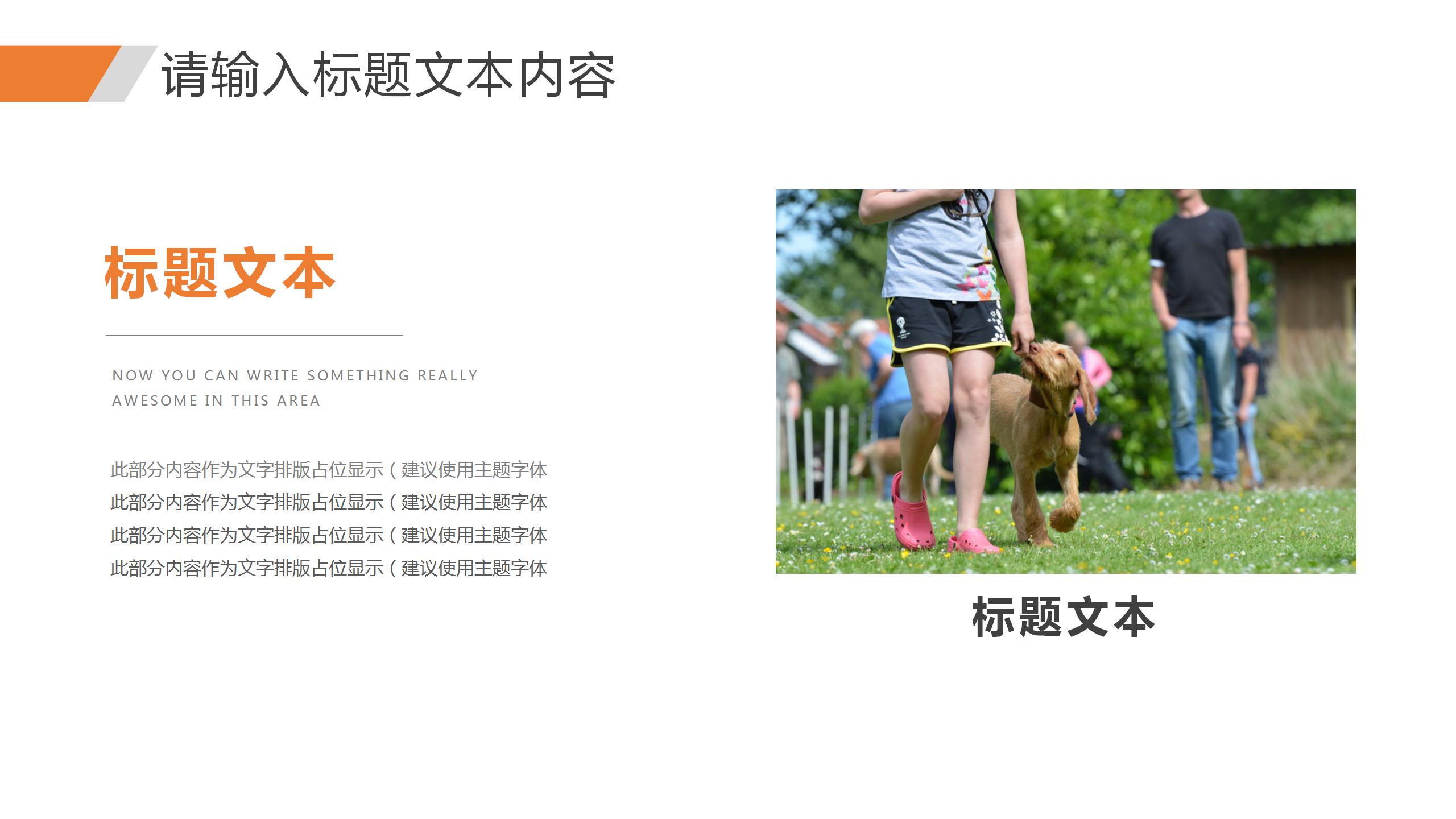 应届毕业生毕业论文ppt模板