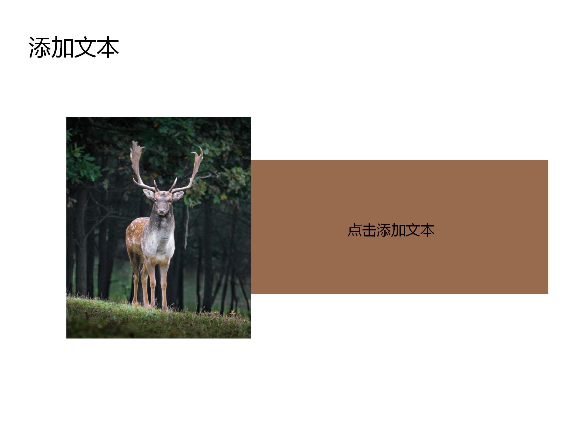 销售数据统计分析PPT模板