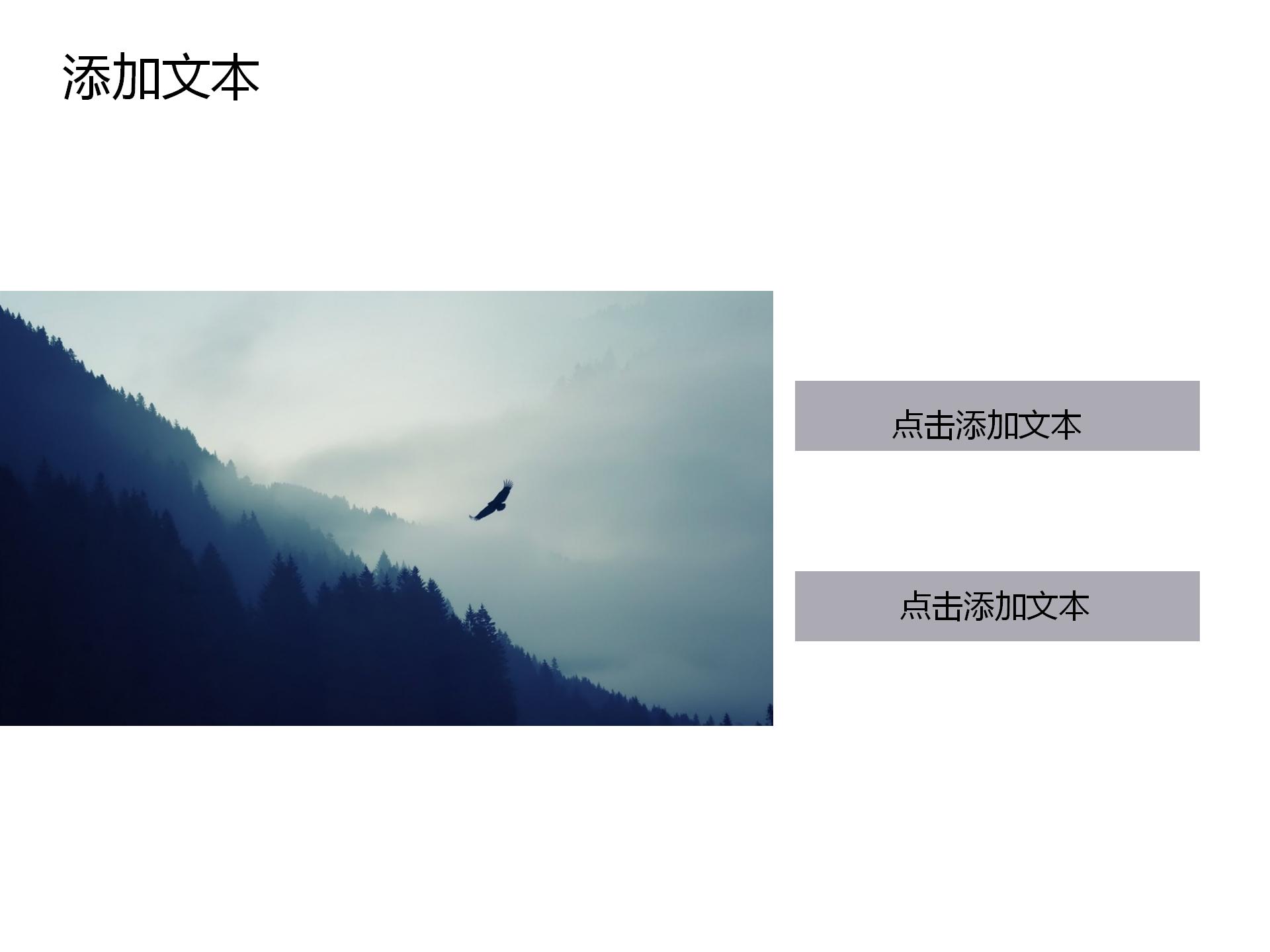 财务报表数据统计报告ppt模板