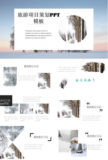 大气商务旅游项目策划ppt模板