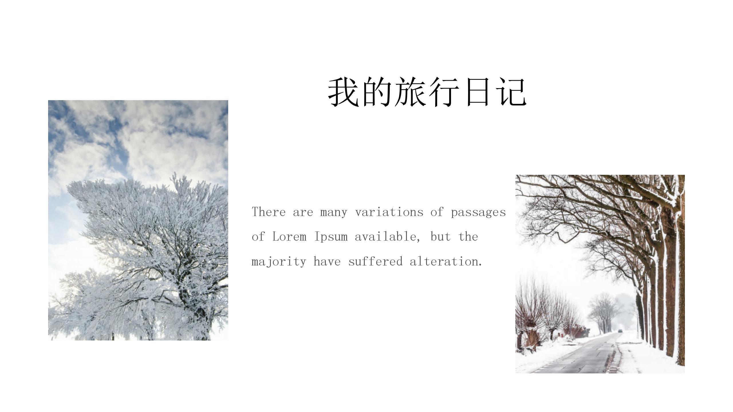 大气商务旅游项目策划ppt模板