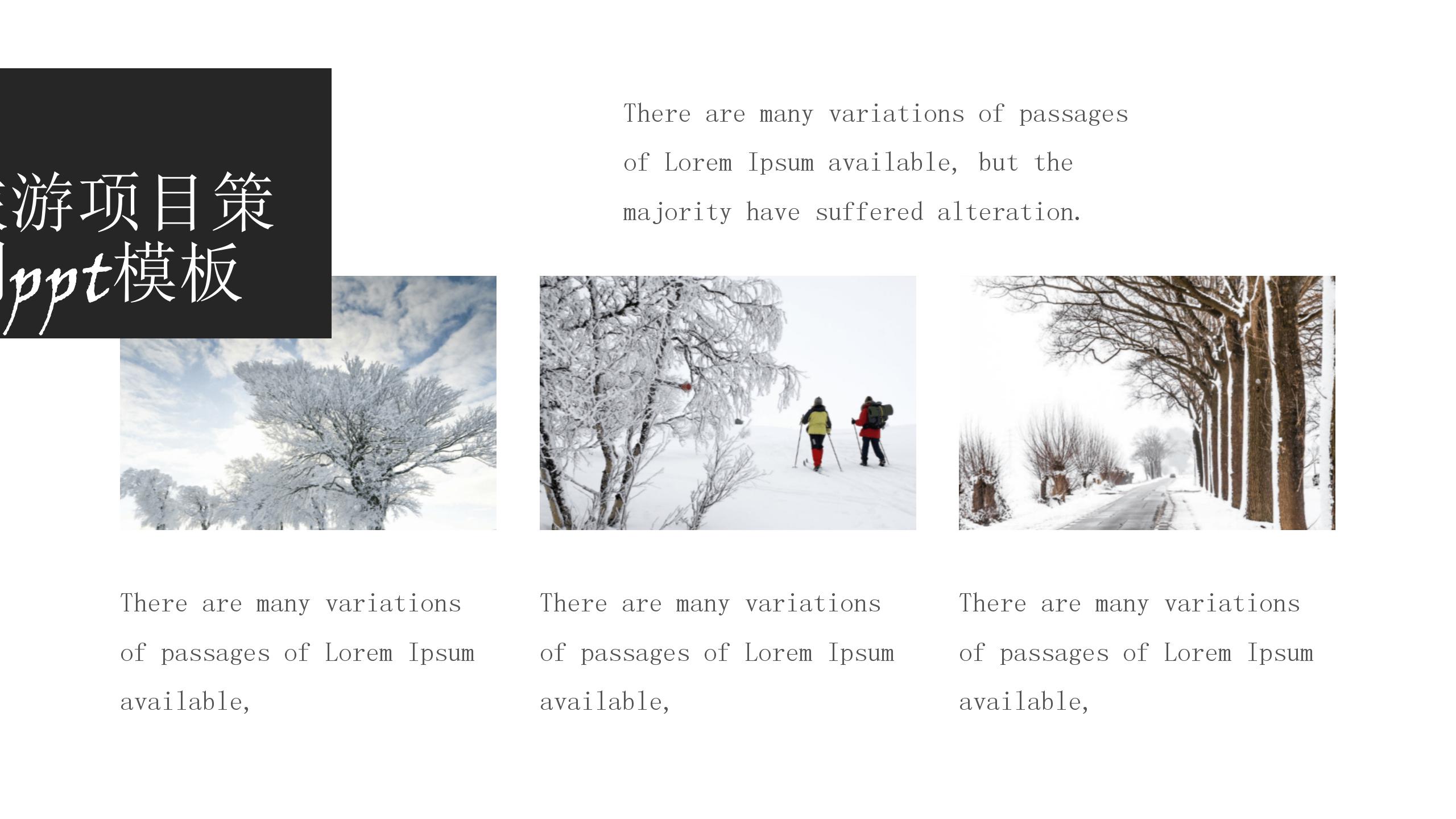 大气商务旅游项目策划ppt模板