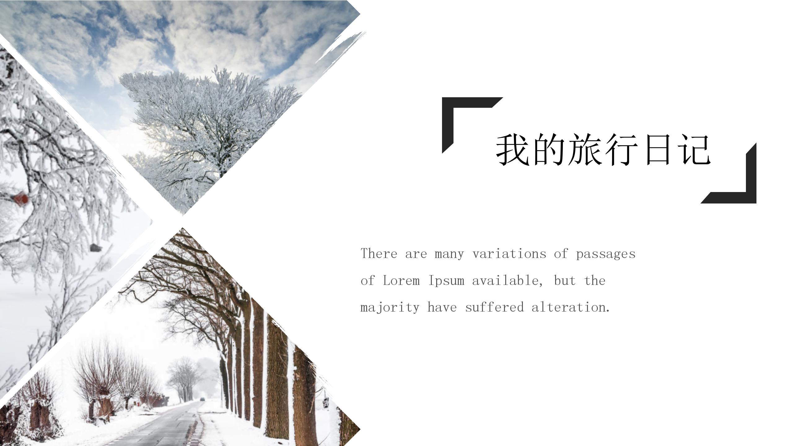 大气商务旅游项目策划ppt模板