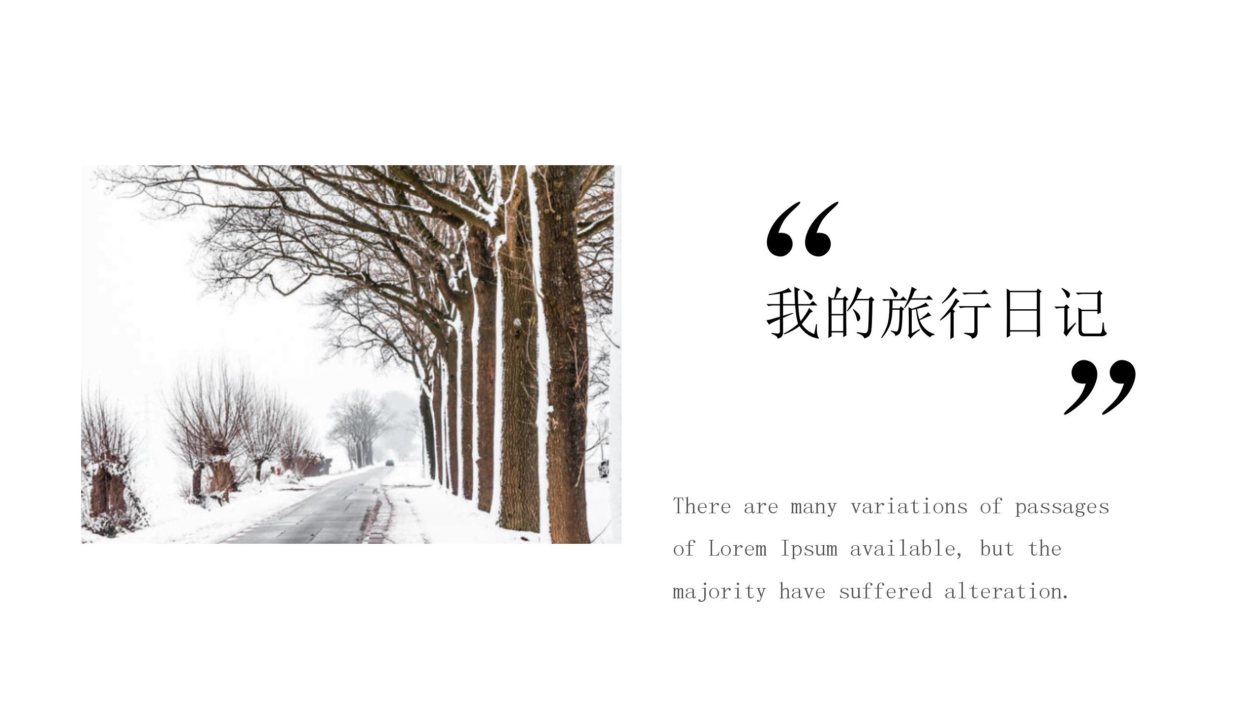 大气商务旅游项目策划ppt模板