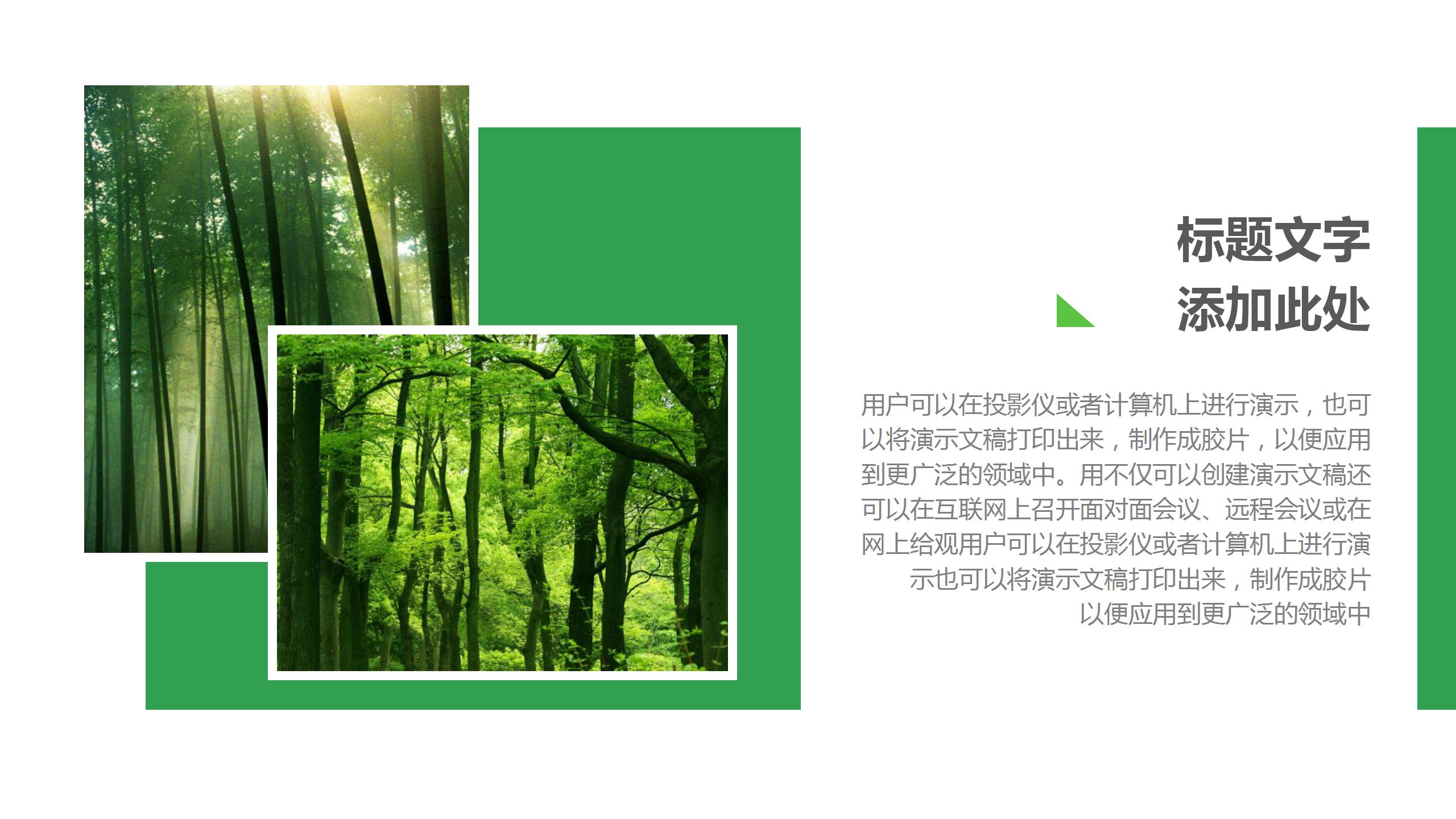 清爽绿色植物ppt模板