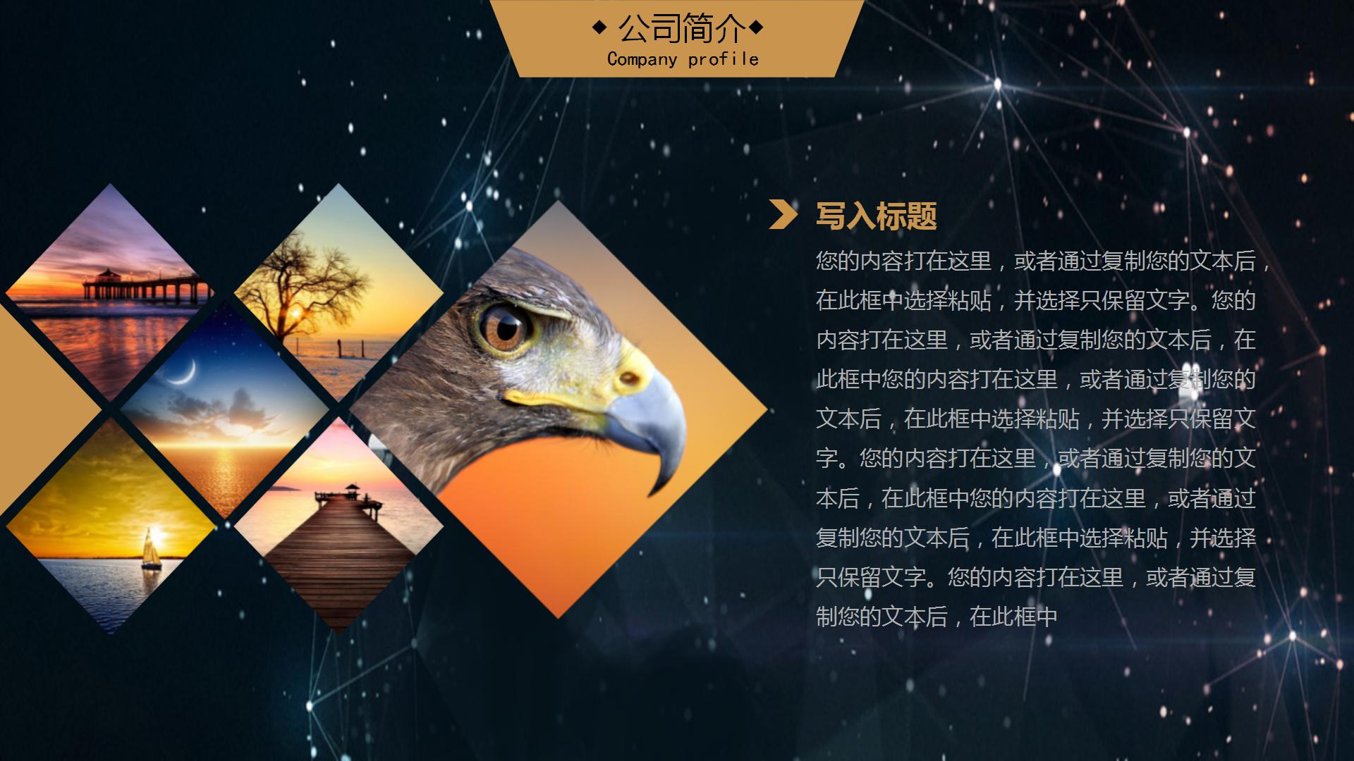 2021创业融资商业计划书ppt模板