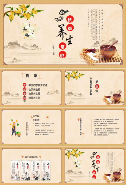 简洁质朴素雅风格养生ppt模板