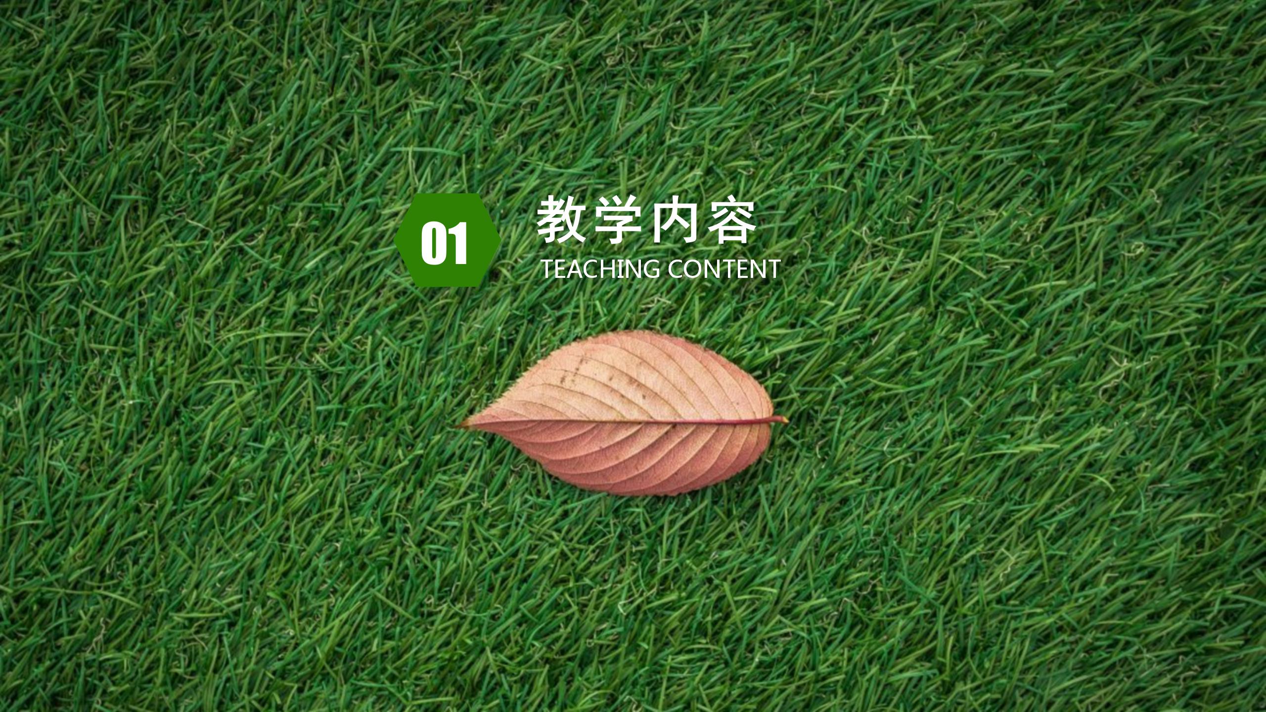 绿色小清新教师公开课通用ppt模板