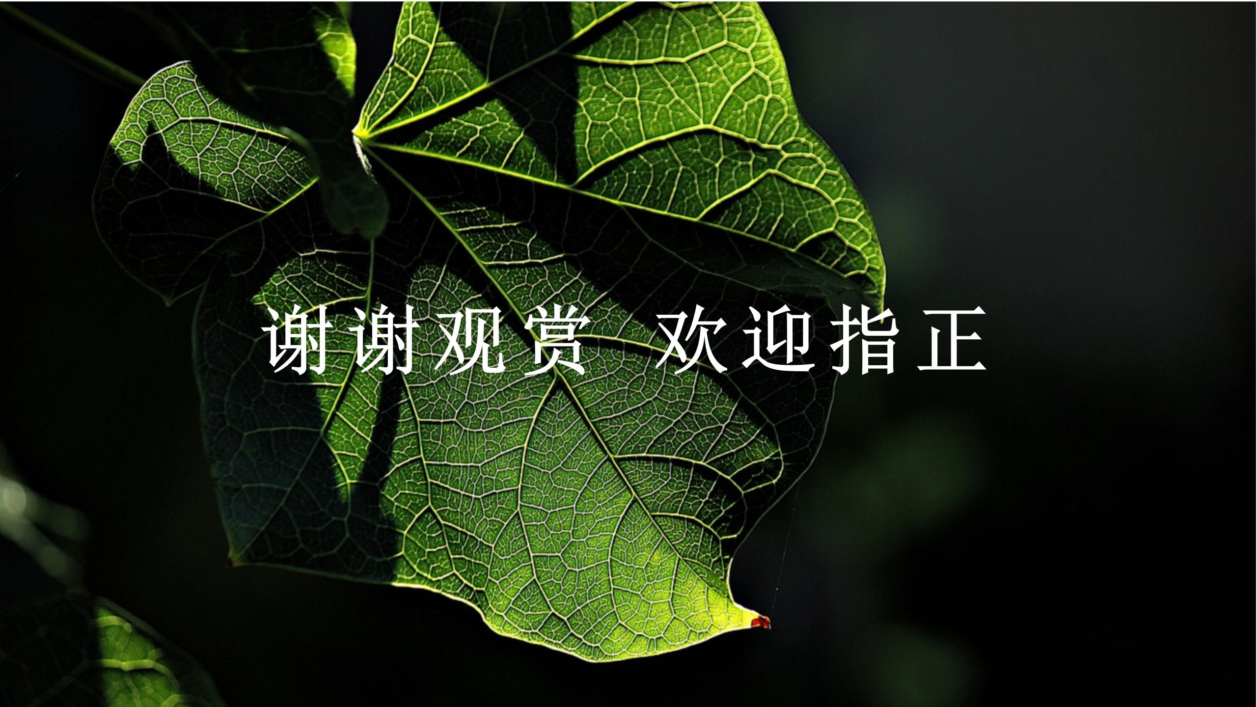 绿色简约教师说课通用ppt模板