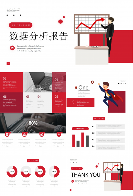 项目管理案例分析报告ppt模板