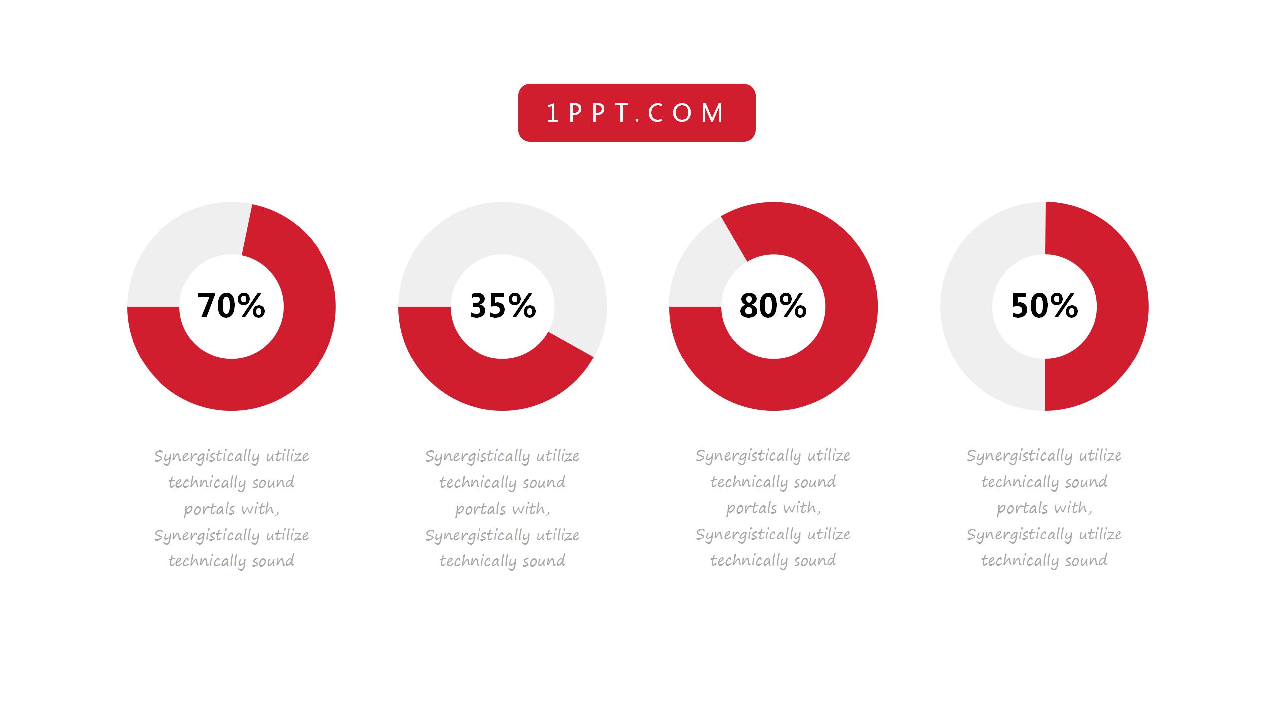 项目管理案例分析报告ppt模板
