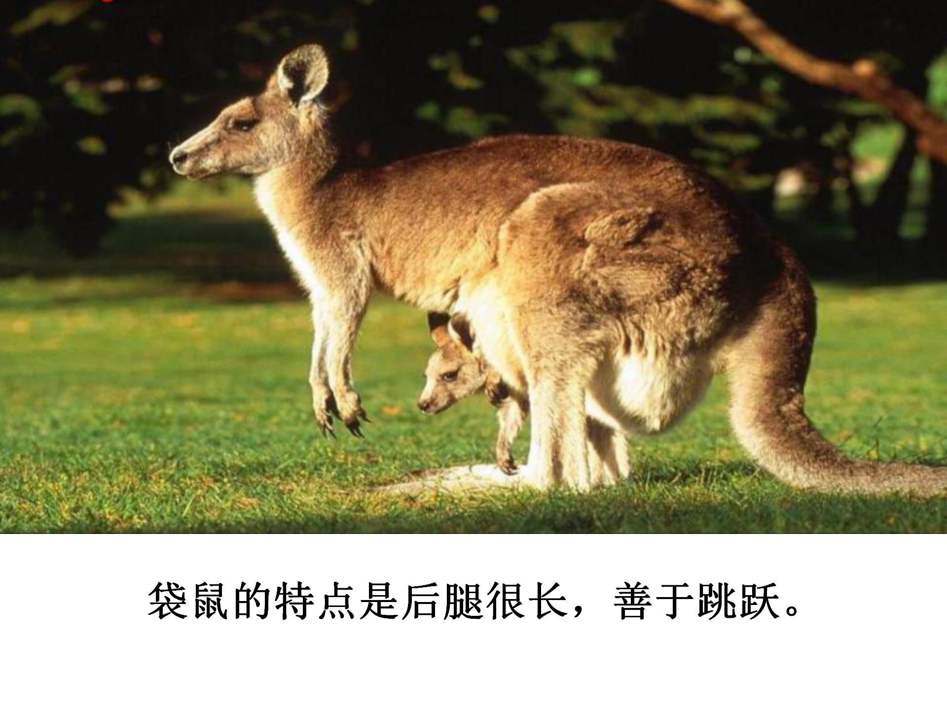 《从现在开始》PPT教学课件下载2PPT课件下载