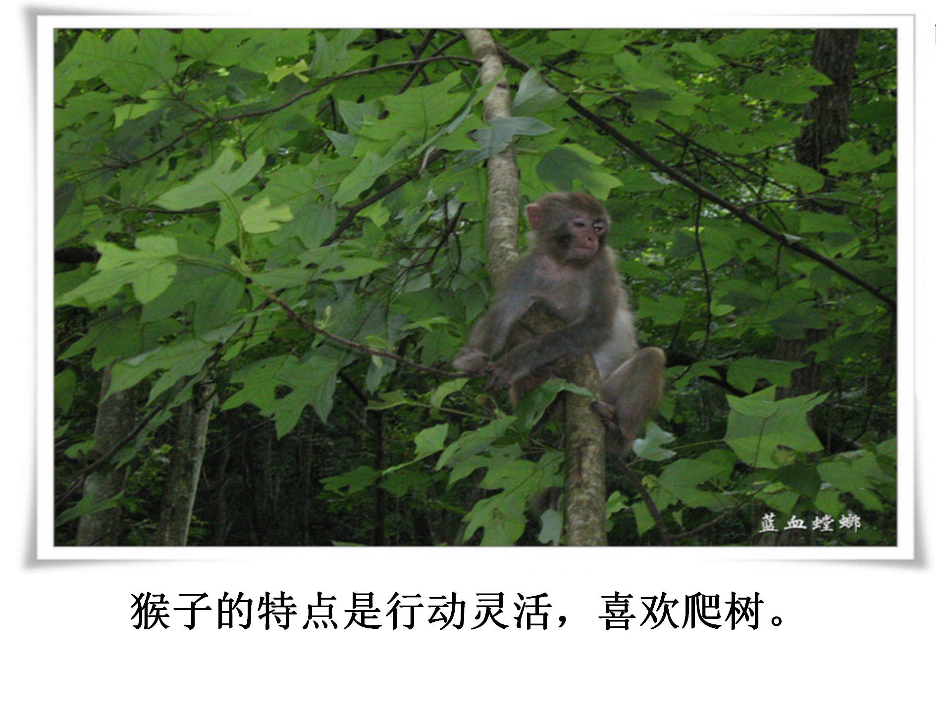 《从现在开始》PPT教学课件下载2PPT课件下载