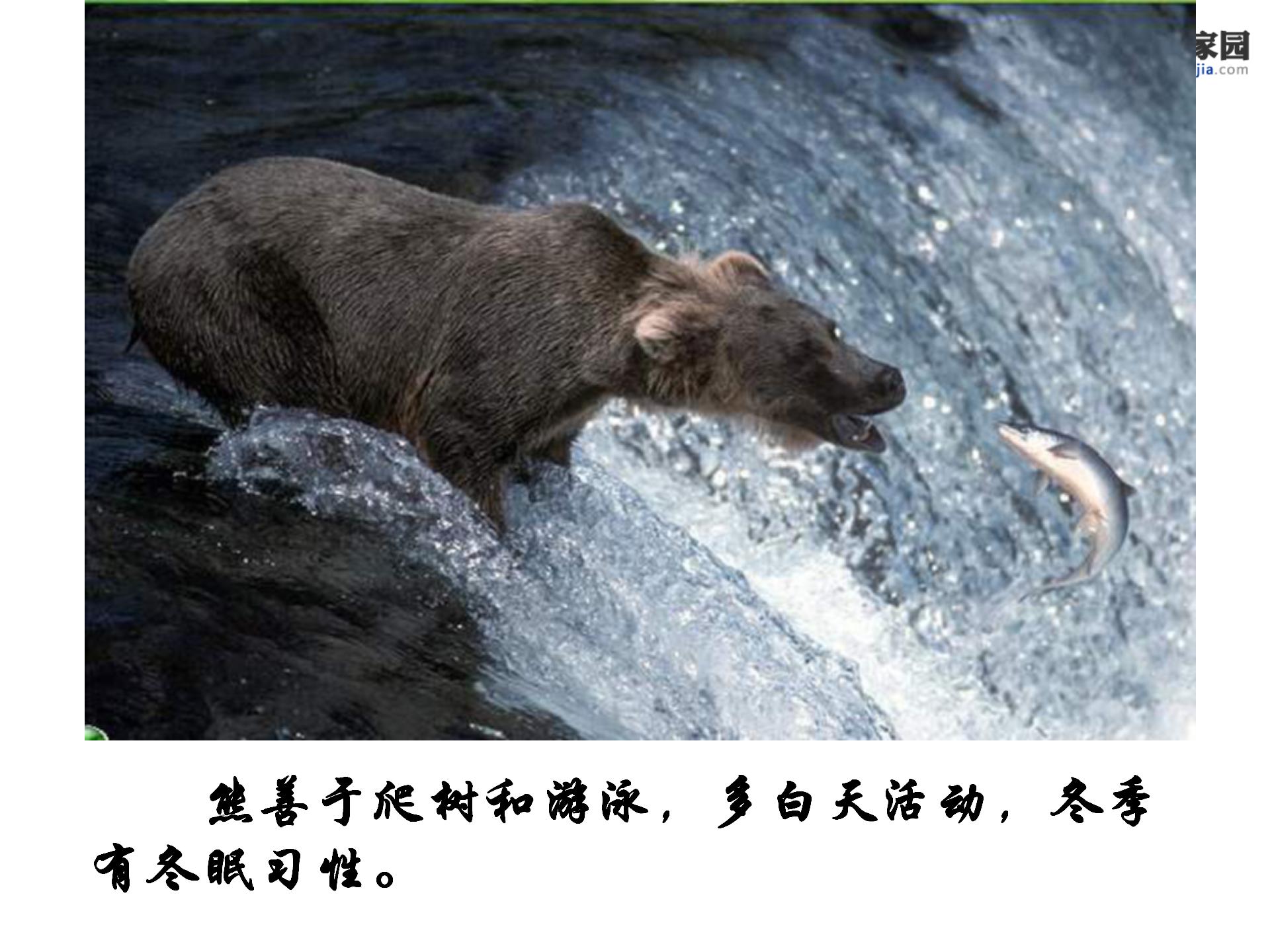 《从现在开始》PPT教学课件下载2PPT课件下载