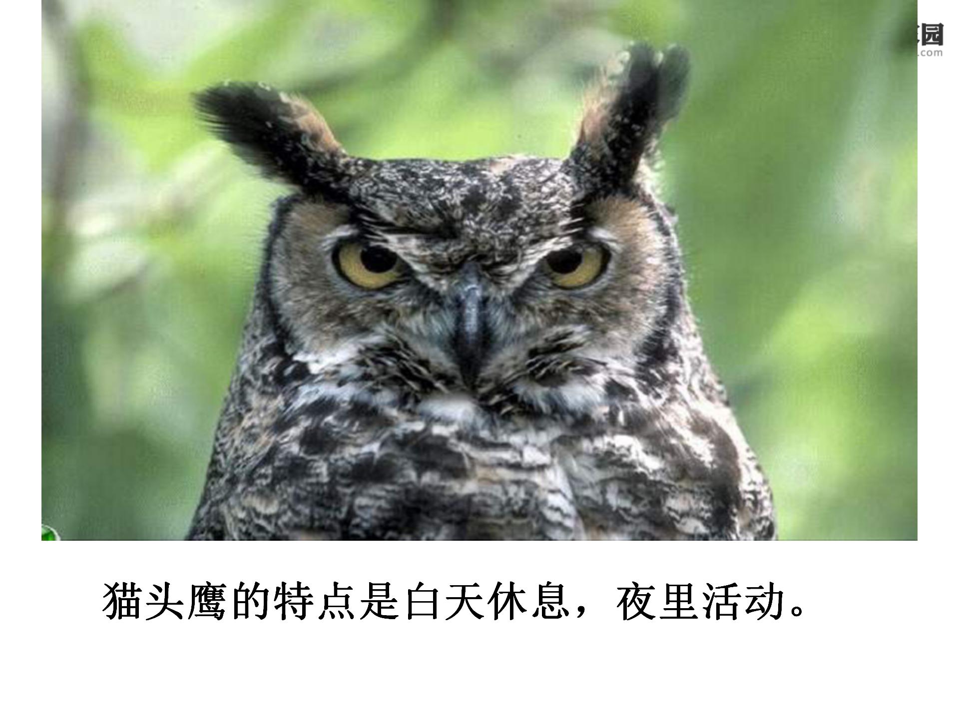 《从现在开始》PPT教学课件下载2PPT课件下载