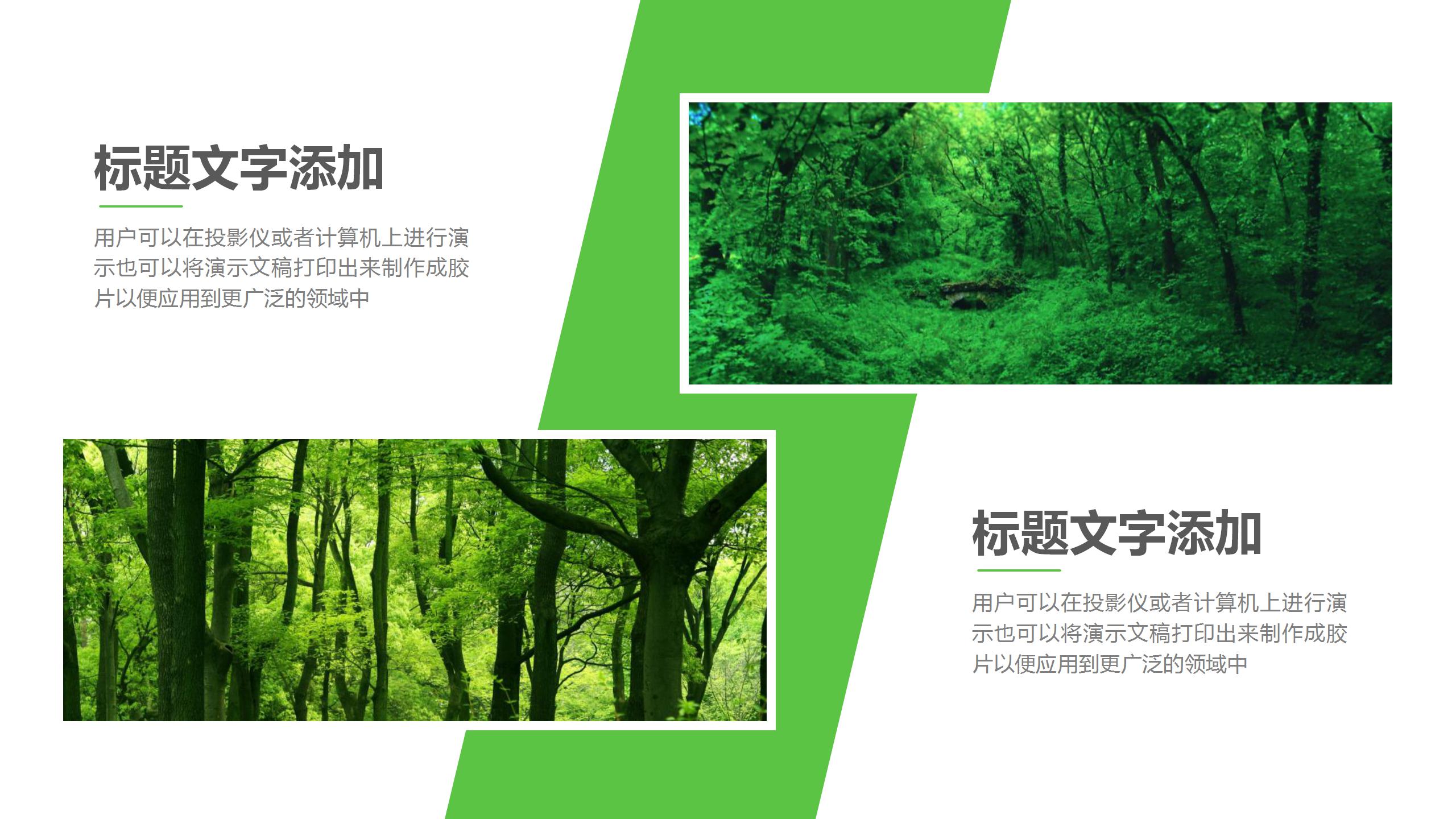 绿色清新自然植物ppt模板