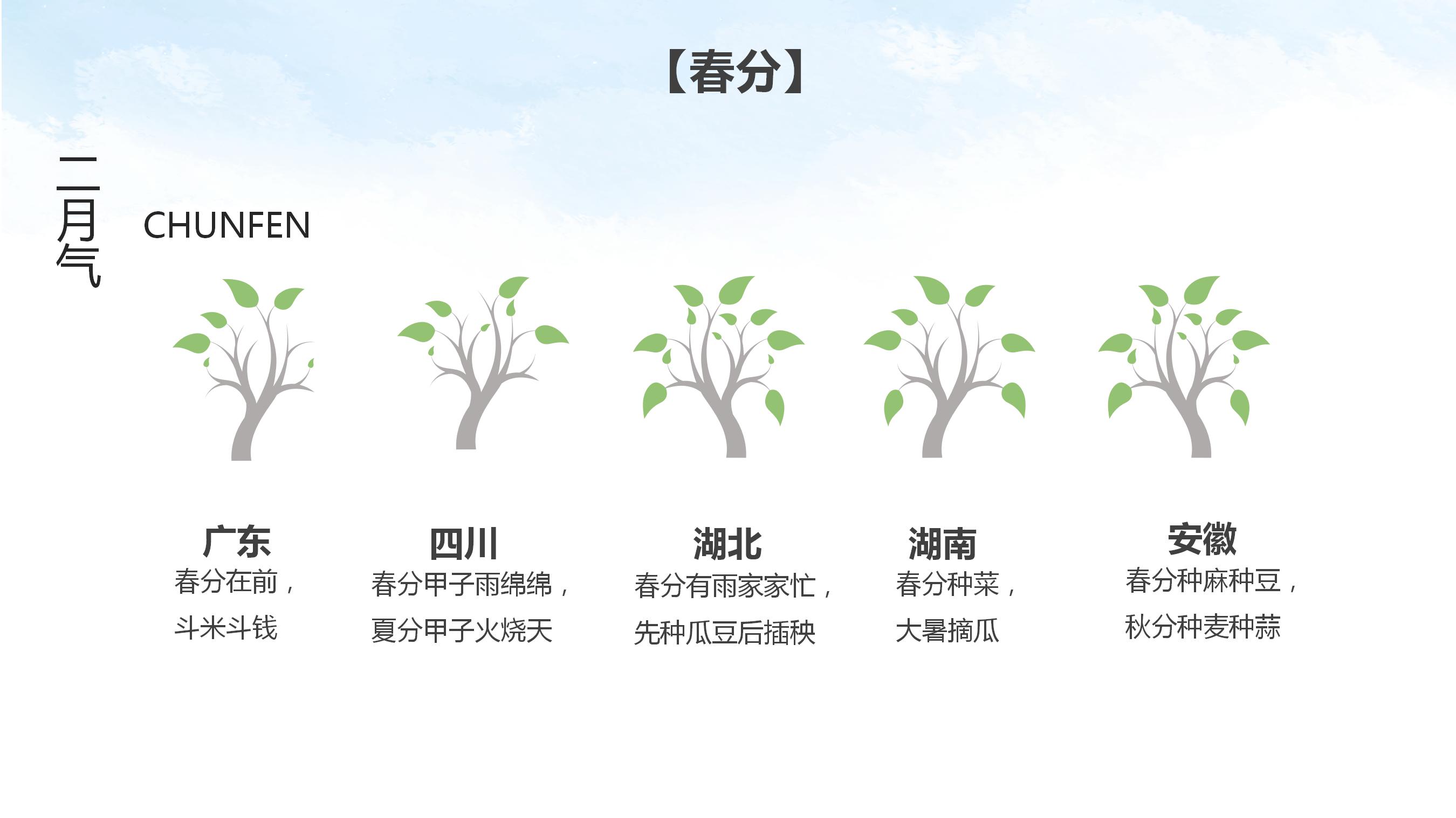简约清新二十四节气清明节ppt模板