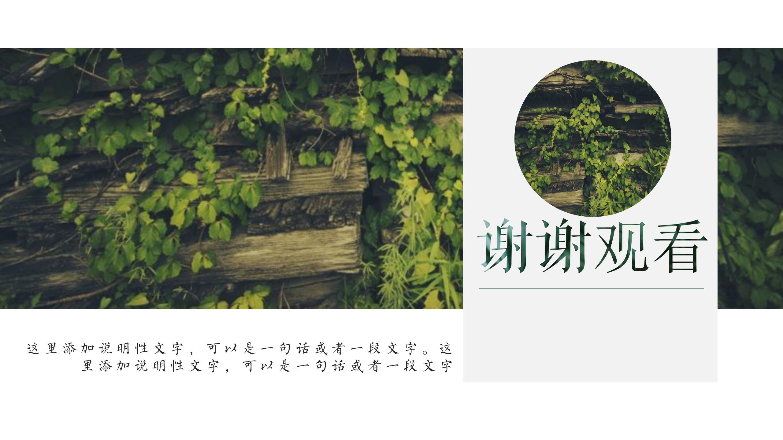 简约小清新大自然风说课ppt课件模板