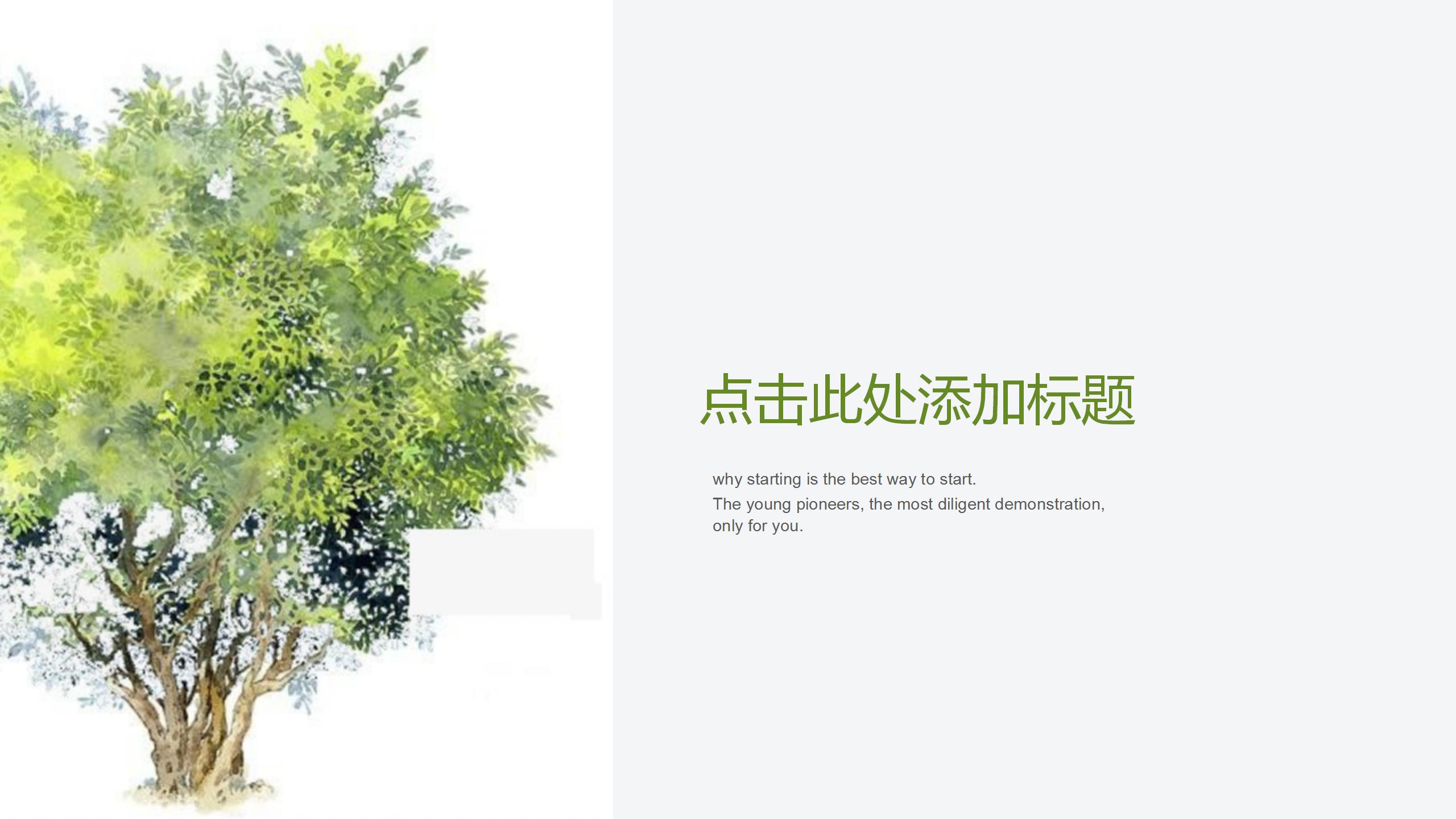 树叶背景教育教学工作计划通用ppt模板