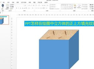 PPT怎么在绘图立方体的正上方填充纹理