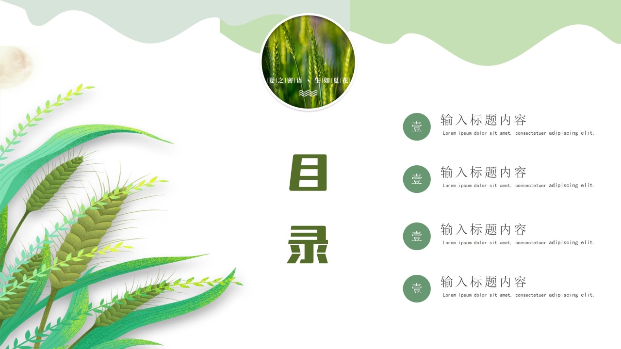 简约手绘风二十四节气之小满介绍ppt模板