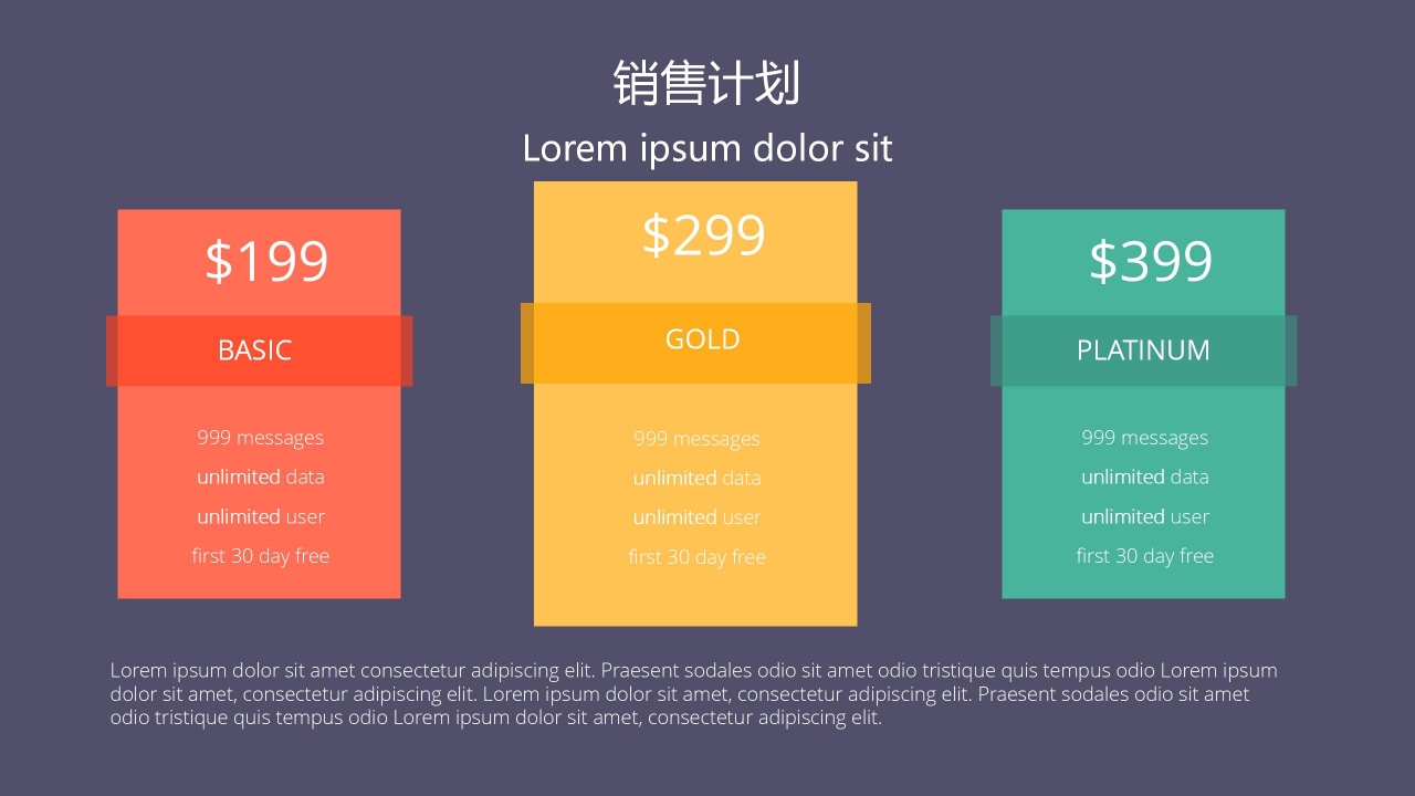 公司介绍与服务介绍商业报告ppt模板