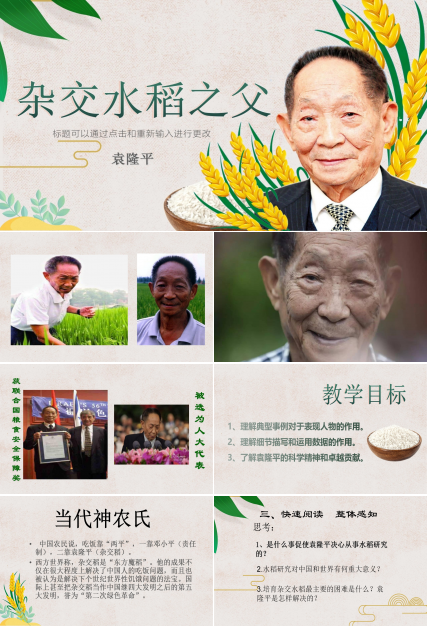 杂交水稻之父袁隆平ppt课件模板