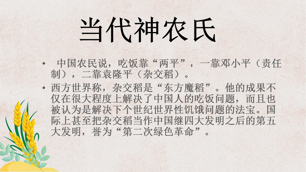 杂交水稻之父袁隆平ppt课件模板