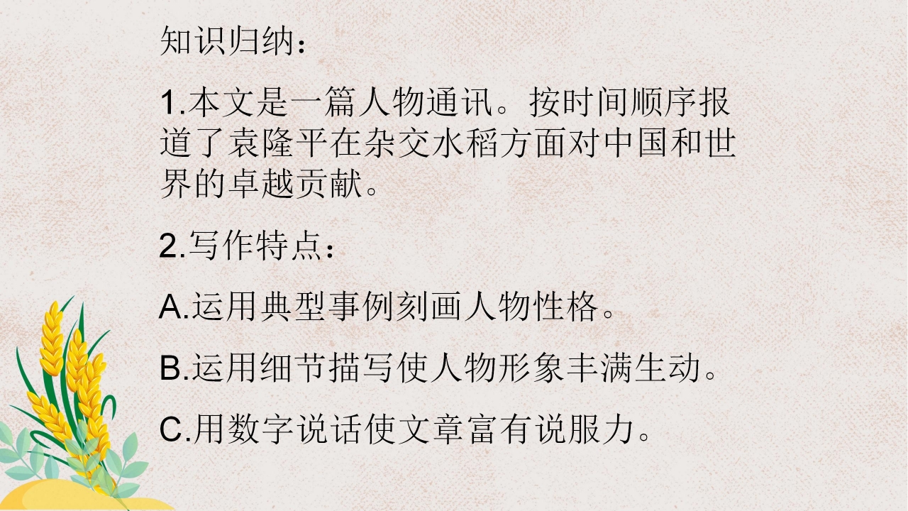 杂交水稻之父袁隆平ppt课件模板
