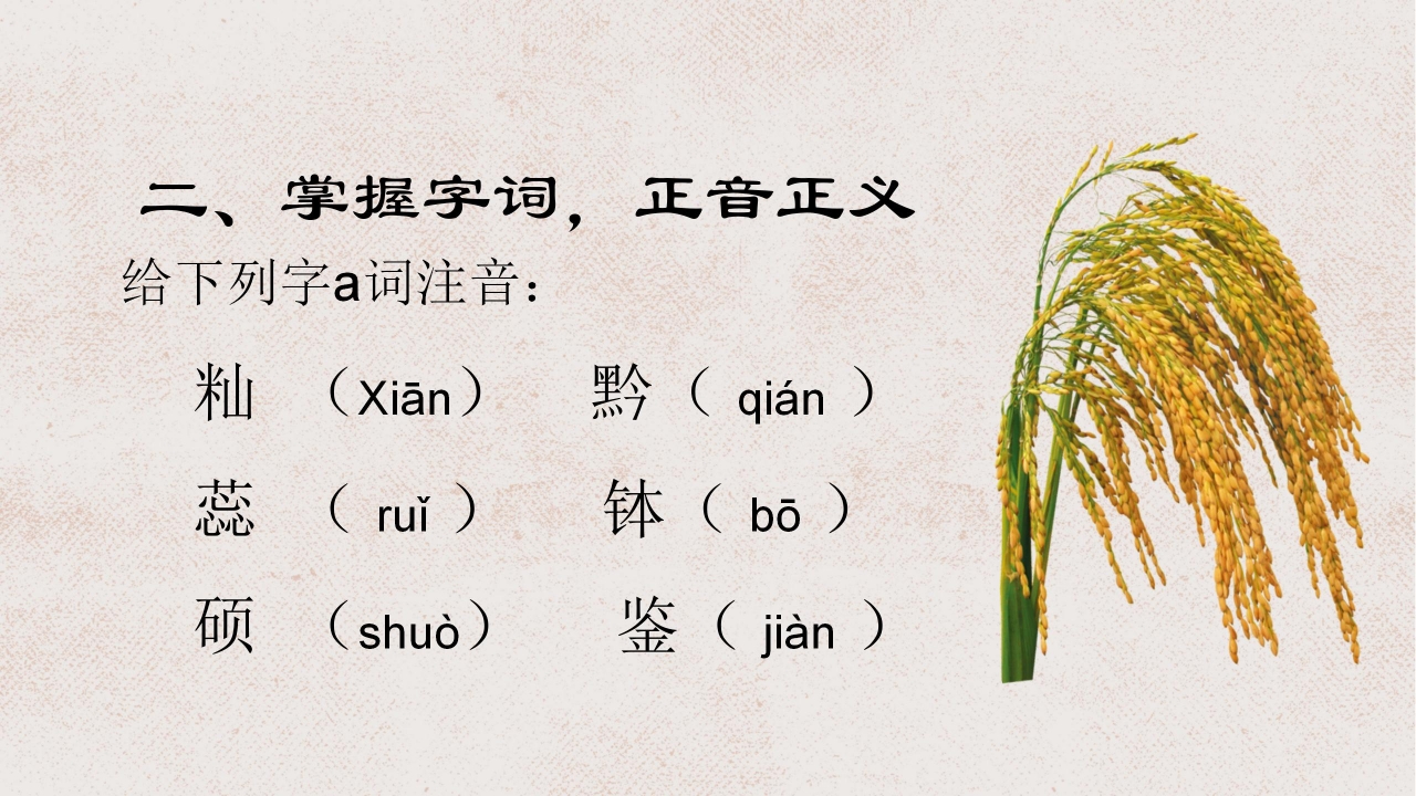 杂交水稻之父袁隆平ppt课件模板