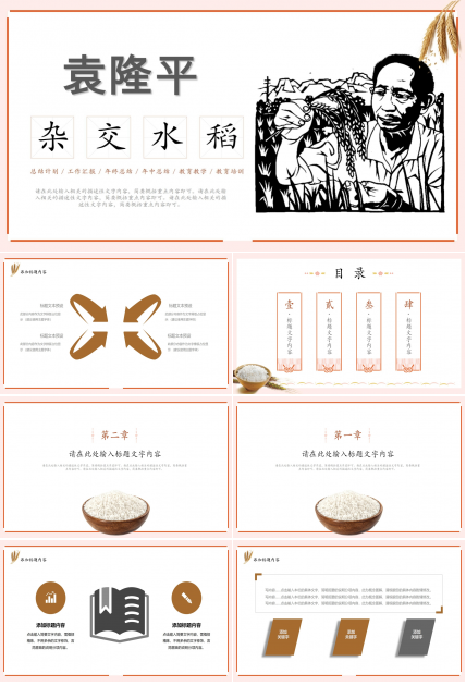 学习宣传介绍杂交水稻之父袁隆平ppt模板