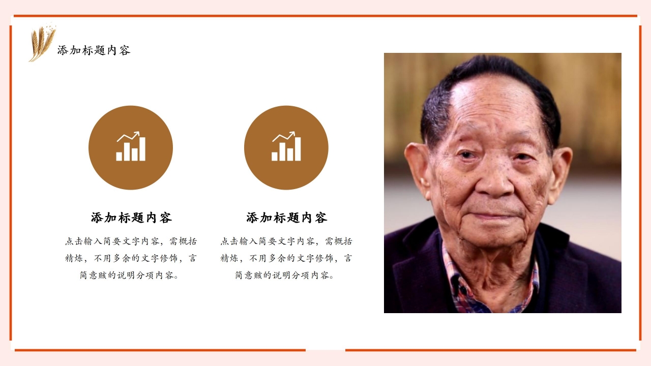 学习宣传介绍杂交水稻之父袁隆平ppt模板