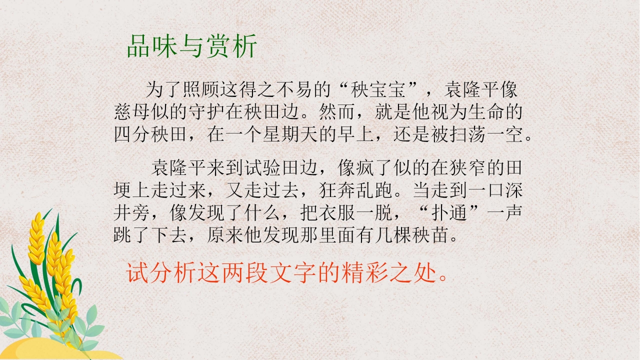 杂交水稻之父袁隆平ppt课件模板